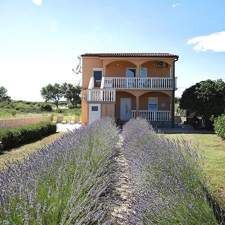 Apartment Sapavac Vir Exterior photo