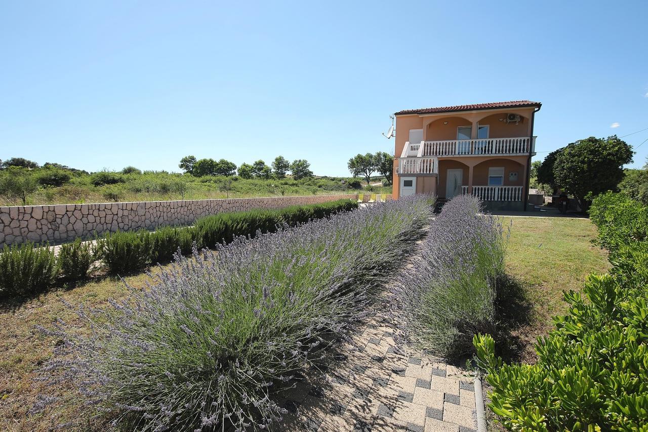 Apartment Sapavac Vir Exterior photo