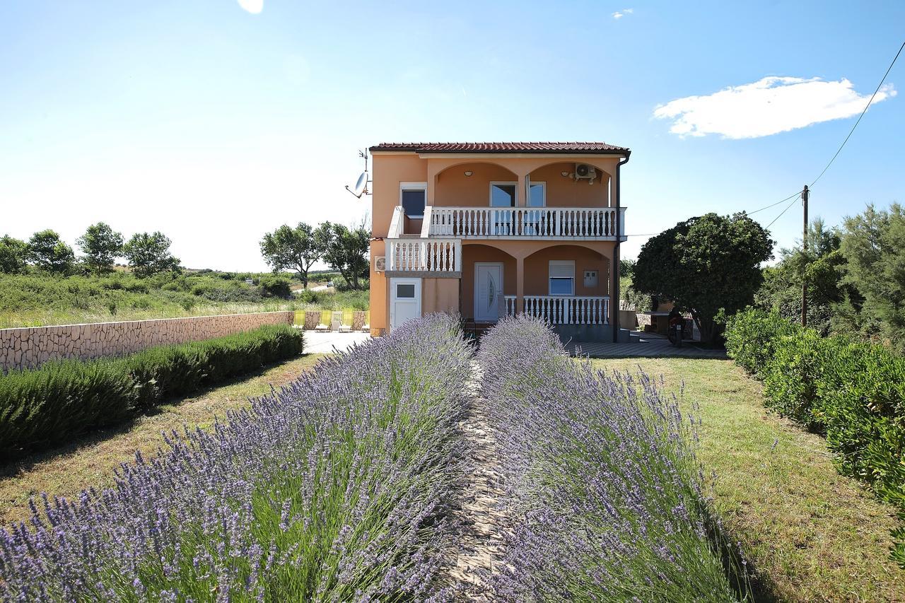 Apartment Sapavac Vir Exterior photo